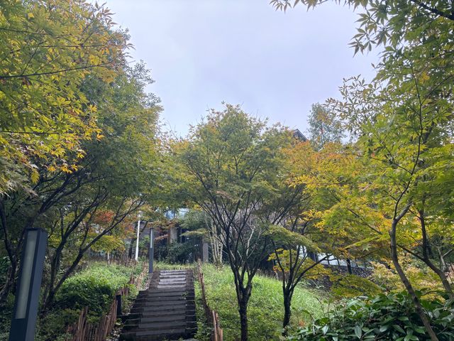 藏在山林裡的避世溫柔