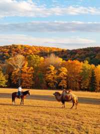 秘境秋色,賽罕烏拉遊攻略