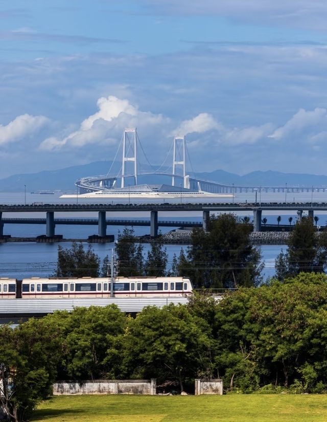 登深中通道，瞰灣區