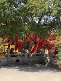 廈門|晴天探秘最美建築群