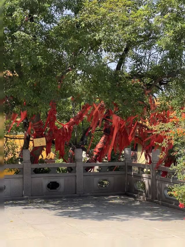 廈門|晴天探秘最美建築群 廈門|晴天探秘最美建築群