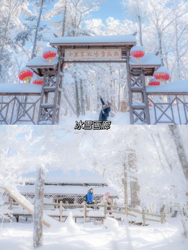 一生坐一次雪國列車越過大興安嶺到漠河