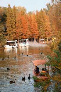 洛陽秋天所有的顏色都藏在隋唐植物園裡