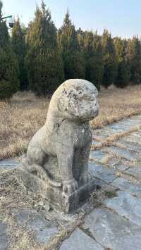 化明塘嚴氏墓丨封藏了600年的淒美愛情故事