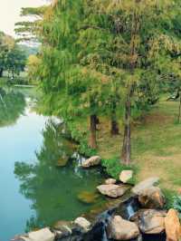 地鐵直達｜深圳小眾野餐露營公園