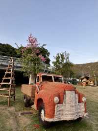 金灣木頭沖|走進童話世界