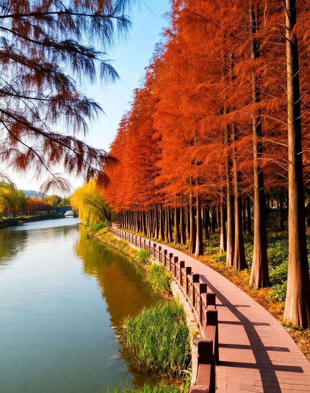 打卡唐風秋韻|邂逅城市邊的詩意與溫柔|收穫滿滿的治癒與快樂