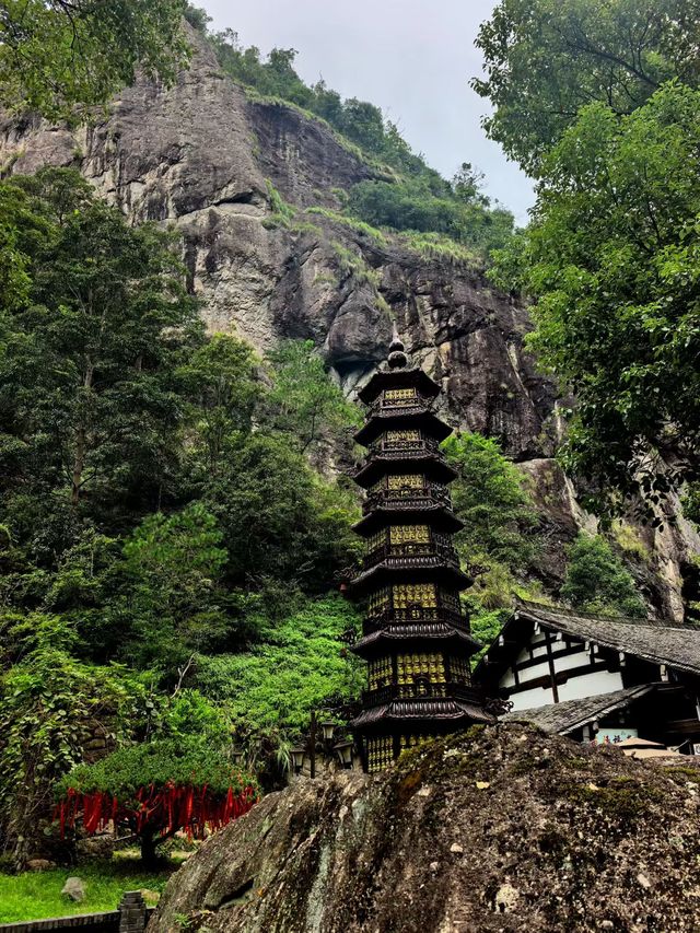 人在旅途、溫州 人在旅途、溫州