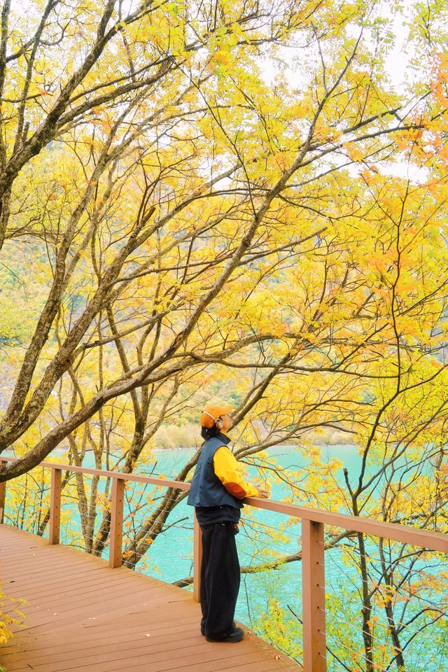 接下來的川西小九寨！堪稱秋天旅行天花板.. 限時1個月！！川西小九寨「松坪溝」秋色巔峰期來了！ 