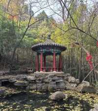 濟南賞秋之紅葉谷