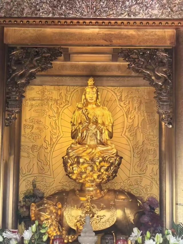 秋遊要去成都等地美到失語