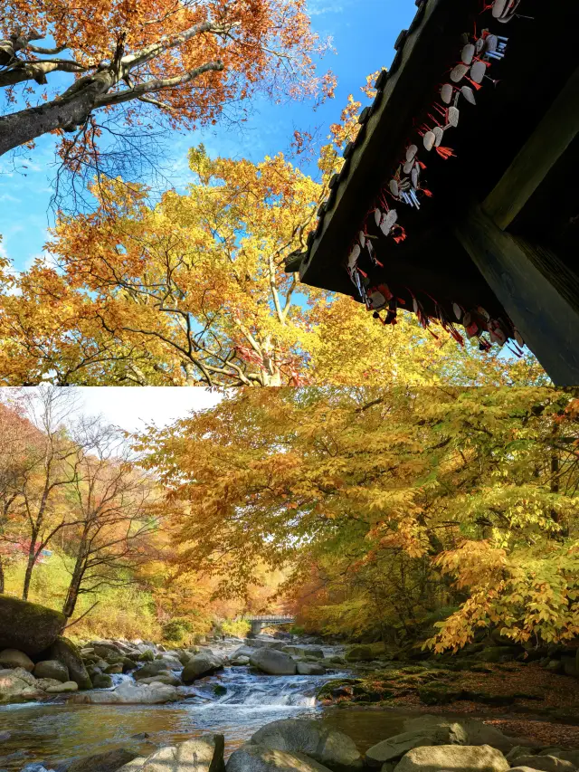 Guangwu Mountain is legendary now!!!!!! (Strategy attached)