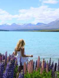 新西蘭南島旅遊走對順序,次回本