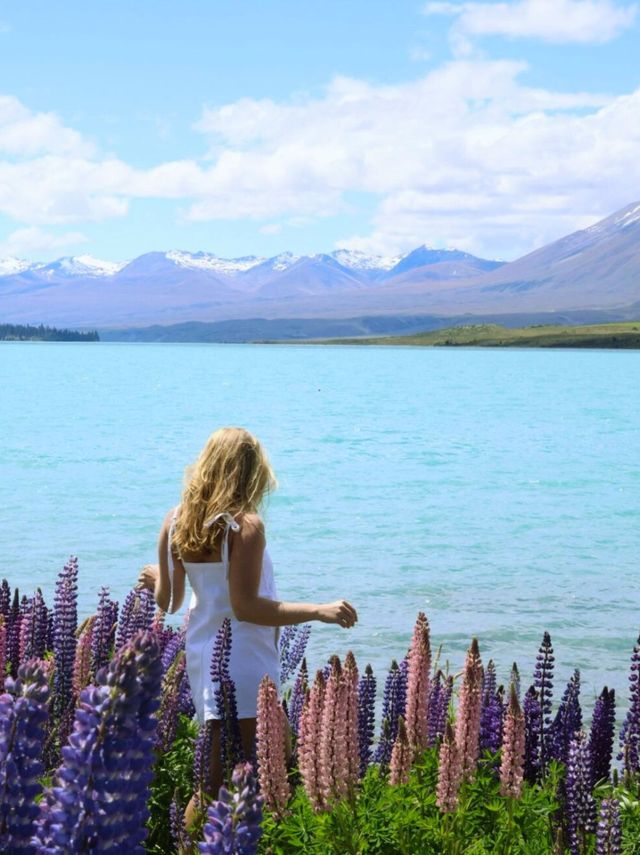 新西蘭南島旅遊走對順序,次回本 新西蘭南島旅遊走對順序,次回本