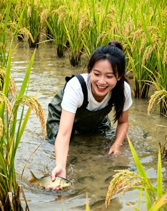 11月廣東必衝!4個零踩雷賞秋地 11月廣東必衝!4個零踩雷賞秋地