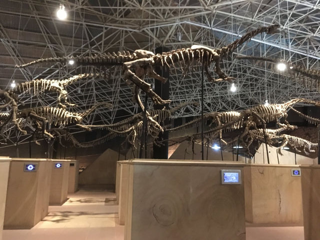 所謂「北有兵馬俑,南有恐龍谷」楚雄世界恐龍谷全攻略 所謂「北有兵馬俑,南有恐龍谷」楚雄世界恐龍谷全攻略