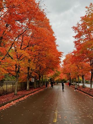 시애틀 4일 정복 | 게으른 여행자를 위한 필수 방문 가이드 (사계절 적용 가능)