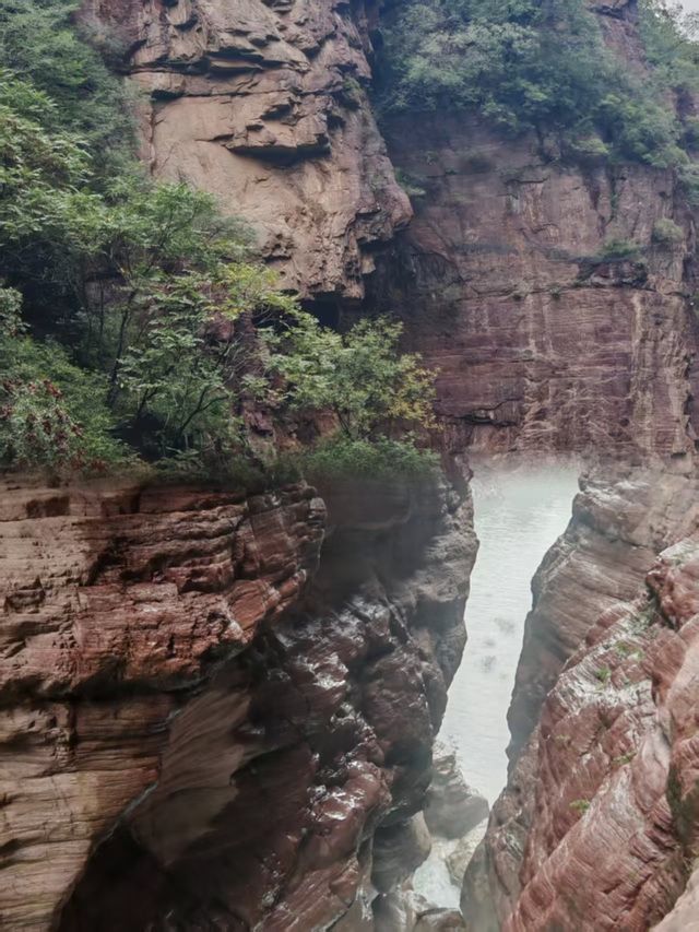 峽谷星空露營秘境