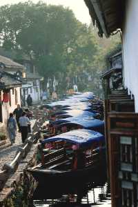 秋天總要帶娃去一次水鄉第一古鎮