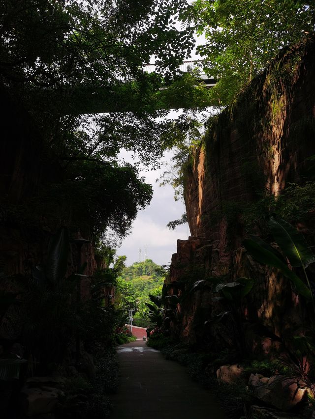 雨過天晴的自貢鳶山公園 雨過天晴的自貢鳶山公園
