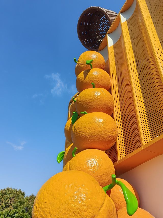 挖到一條寶藏秋遊採橘子路線！