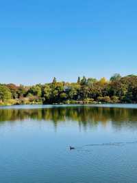 漫步詩歌裡成都浣花溪公園的神仙玩法