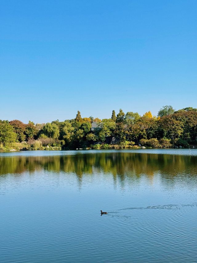 漫步詩歌裡成都浣花溪公園的神仙玩法