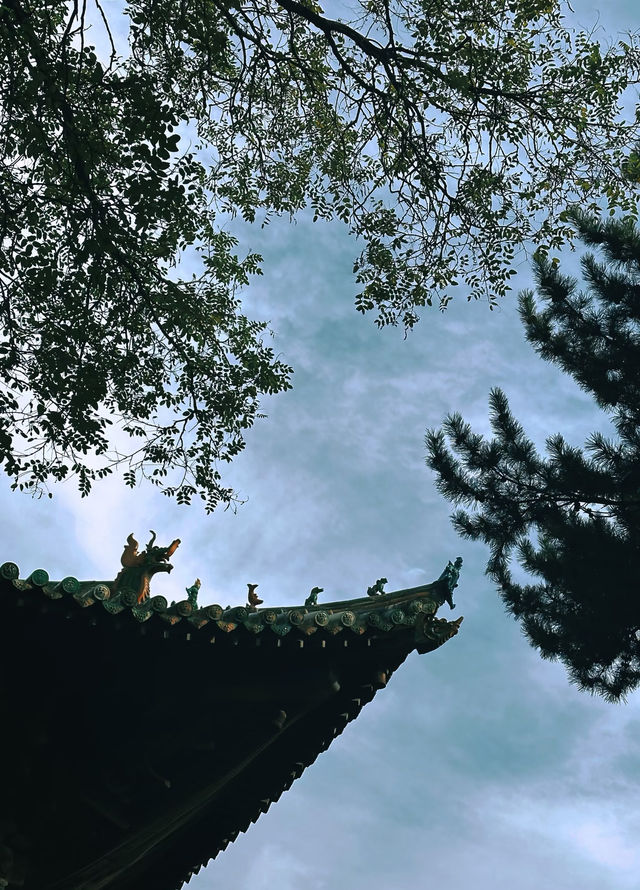 【鴻達酒店,冬天裡的「暖」被窩兒!】 【鴻達酒店,冬天裡的「暖」被窩兒!】