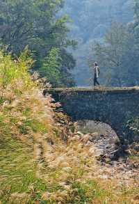 上海3h直達!初冬闖入畫龍村,在浙東古道邂逅瀑布梯田與治癒