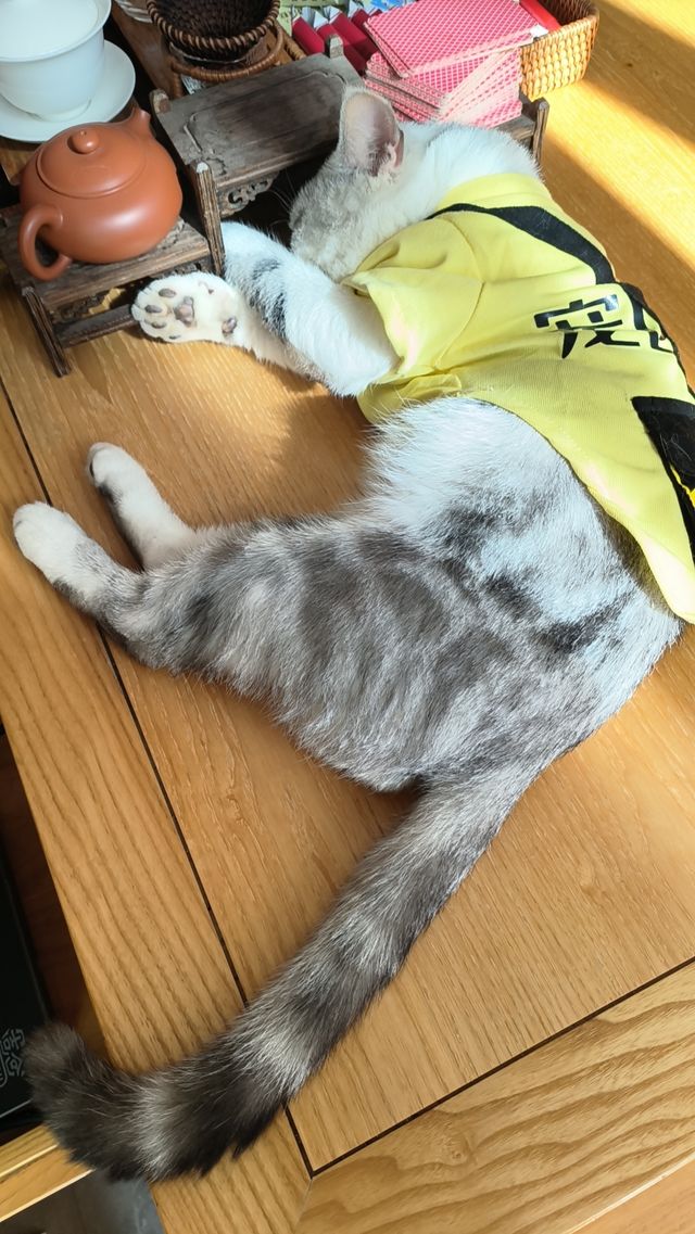 建水·古城客棧！發現一家寶藏民宿