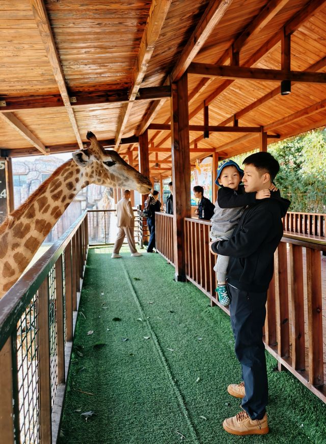 南京動物們的伊甸園——紫清湖野生動物世界