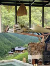 廣州從化獨棟山野小院,青瓦鑲綠意,美到想哭