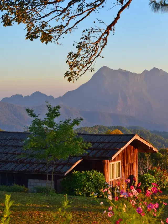 A stunning secret flower field in Chiang Mai, even more off-the-beaten-path than Pai for sunrise and sunset check-ins!