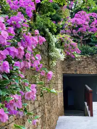 這是我花5蚊雞就能看到的景色？！？！