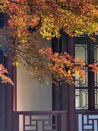 武漢人的私藏拍照聖地堤角公園邂逅初冬浪漫