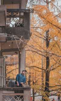 接下來的韶關,將是上帝打翻的調色盤!