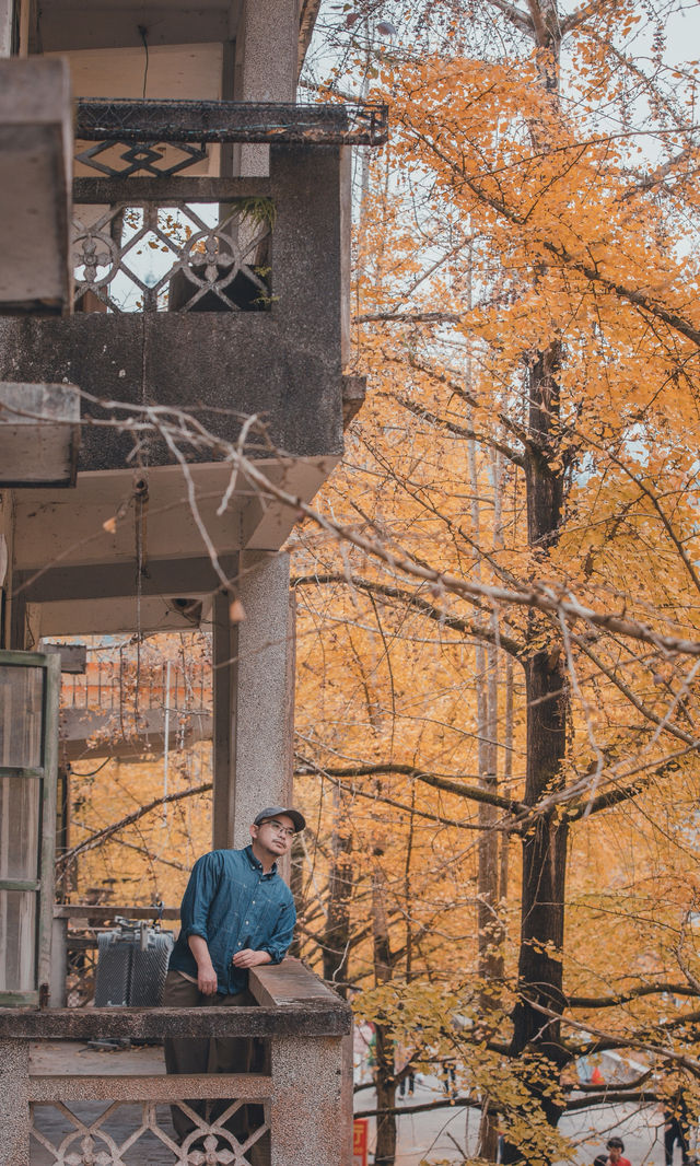 接下來的韶關,將是上帝打翻的調色盤! 接下來的韶關,將是上帝打翻的調色盤!