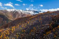 住進4000米的亞丁村,推窗見神山!