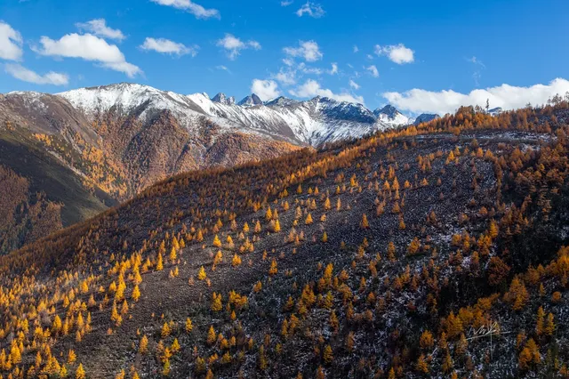 住進4000米的亞丁村,推窗見神山! 住進4000米的亞丁村,推窗見神山!