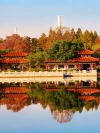 秋色滿園絕美倒映