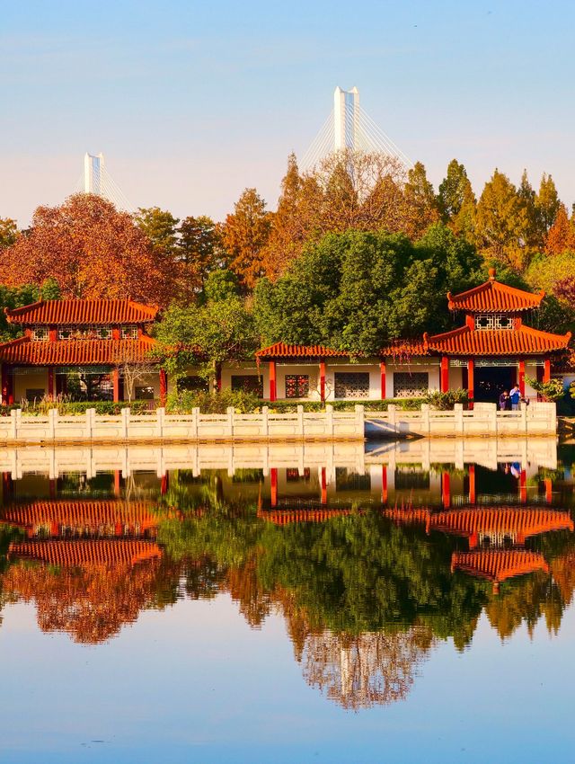 秋色滿園絕美倒映