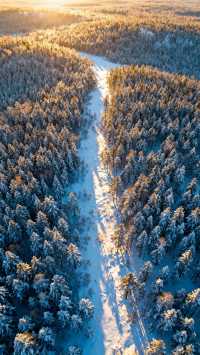 冬日必去！穿越大興安嶺林海雪原的極致浪漫