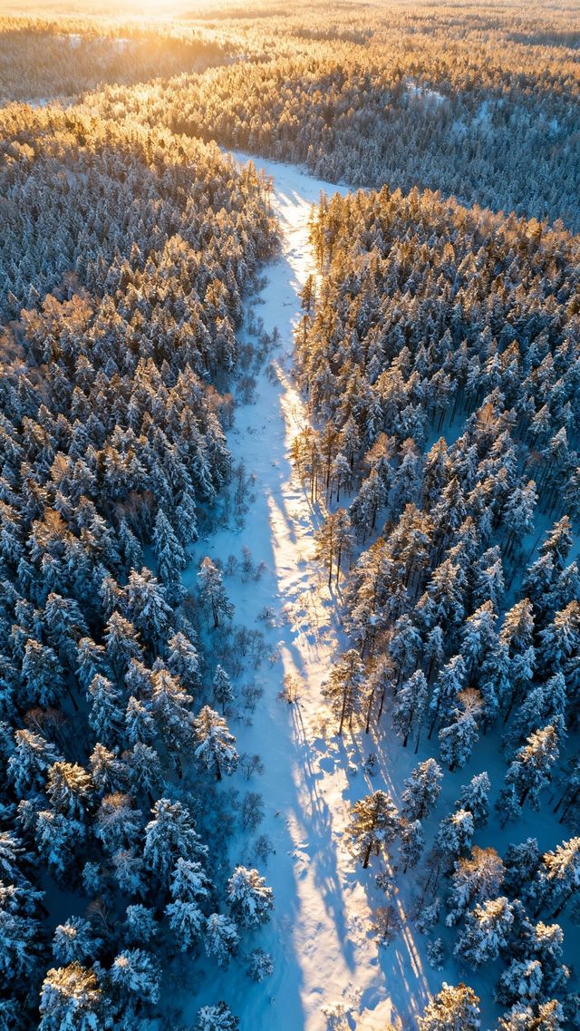 冬日必去！穿越大興安嶺林海雪原的極致浪漫