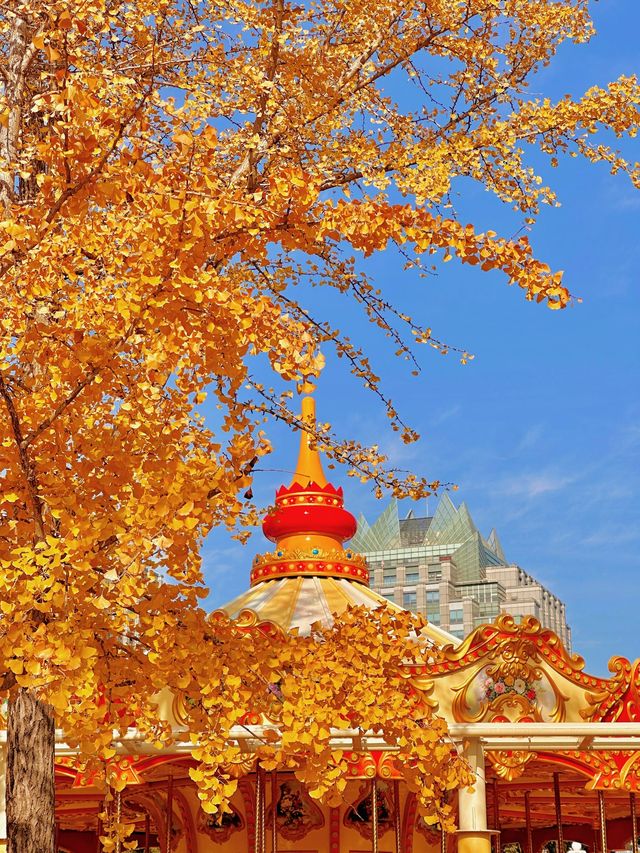 上海秋日頂流|世紀公園銀杏大道美到窒息! 上海秋日頂流|世紀公園銀杏大道美到窒息!