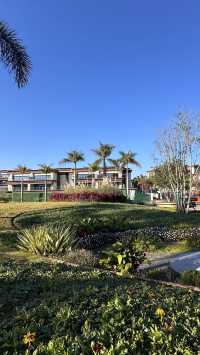 梅子湖花箋｜冬日限定的溫柔詩篇