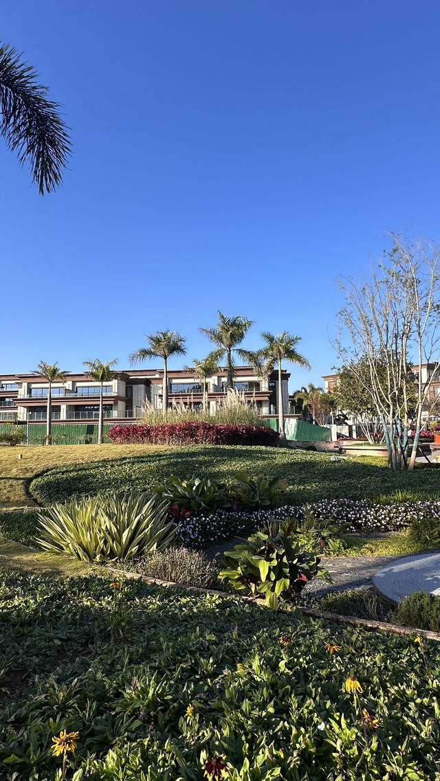 梅子湖花箋｜冬日限定的溫柔詩篇