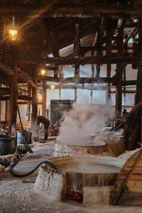 恐龍博物館會善待每個喜歡恐龍的寶貝