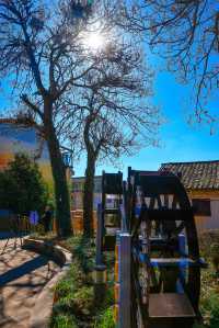 土瓜沖的“文藝復興”