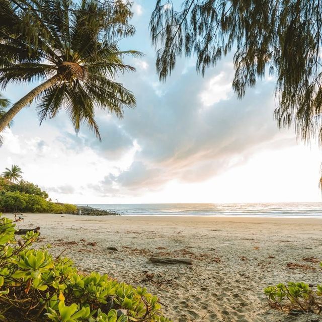這是你的夢中情海嗎PortDouglas 這是你的夢中情海嗎PortDouglas