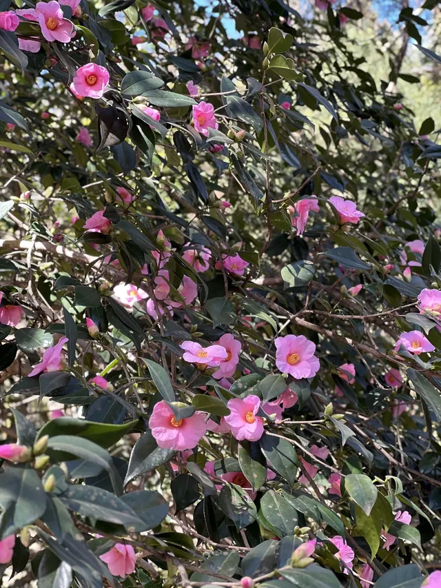 莫干山的正確打開方式 莫干山的正確打開方式